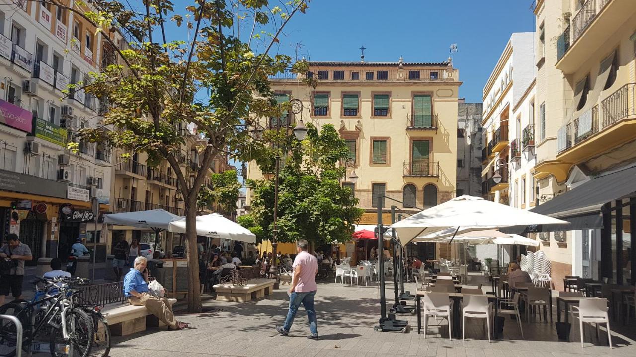 Apartment Loft Nuevo Y Con Encanto A Tres Mnt Catedral Aa Wifi Seville