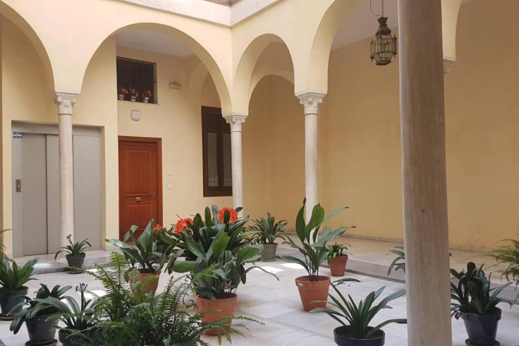 Apartamento Loft Nuevo Y Con Encanto A Tres Mnt Catedral Aa Wifi Sevilla